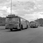 Leveransfoto. Scania Vabis.Typ CF 6561, paprikafärgad. SJ. Destination Sundsvall, Norra vägen och Österbybruk