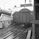 MS Starke Trelleborg