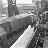 MS Starke Trelleborg