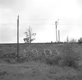 Borås-Gnosjö bandel