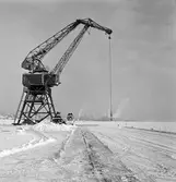 Hamn. Svenska Cellulosa AB, Ortviken, Sundsvall