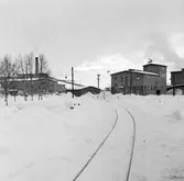 AB Statens Skogsindustrier, ASSI, Piteå