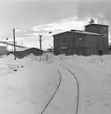 AB Statens Skogsindustrier, ASSI, Piteå