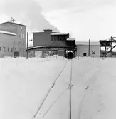 AB Statens Skogsindustrier, ASSI, Piteå