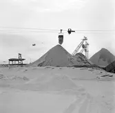 AB Statens Skogsindustrier, ASSI, Piteå