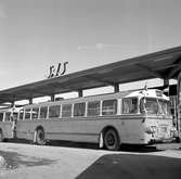 Statens Järnvägar SJ Buss 3292. SAS-terminalen vid Haga, pressvisning. Scania- Vabis CF76.