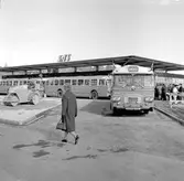 SAS-terminalen vid Haga, pressvisning, Scania- Vabis CF76.