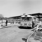 SAS-terminalen vid Haga, pressvisning. Scania- Vabis CF76.