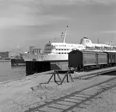 M/S Trelleborg, exteriörer, i färjeläge