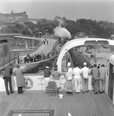 M/S Trelleborg i Sassnitz färjeläge