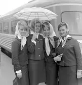 Trafikrestaurangvärdinnor och servitriser, Stockholm centralstation. Statens Järnvägar SJ Y0a2  klass 1.