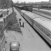 Planteringsarbete vid Stockholm centralstation.