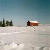 Storlien, fjällterräng