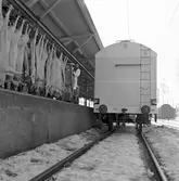 Kylvagn för mattransport. SJ Hu 64392