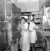 Statens Järnvägar, SJ Rb02, byffévagn, pentry