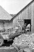 Ålandsresa. Skärgård. Fiskeläger. Transport av får