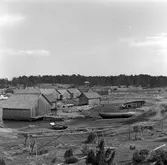 Ålandsresa. Skärgård. Fiskeläger med ekor och fiskebåt