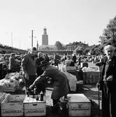 Klarahallen, salutorg. Försäljning av frukt, grönt och blommor