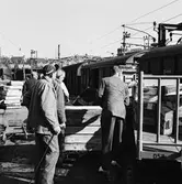 Partifiskhallen, handel med fisk och skaldjur. Statens Järnvägar SJ G 49429.