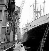 Göteborgs hamn. M/S Cicero