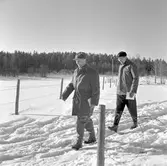 Driftvärnets vintertävling