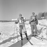 Driftvärnets vintertävling. Skidor och skytte. Varm blåbärssoppa. Mål
