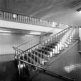 Rostfria trappräcken.