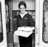 Statens Järnvägar, SJ Y3. Tågvärdinna
