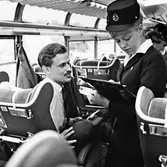 Bussvärdinna