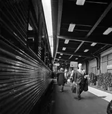 Tågföring, reportage