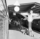 Tågföring, reportage