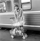 Mindre servicevagn för Y03