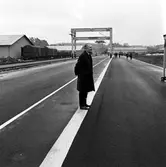 Containerterminal. Generaldirektör Erik Upmark