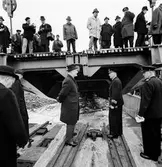 Tågfärjan Starke. Värtan - Nådendal