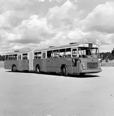 Leveransvisning av  ledbuss vid Källhagen, vid Ladugårdgärdet på  Djurgården.