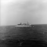 M/S Drottningen, Trelleborg