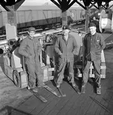 Casting-gänget. Världsmästare i sportfiskegrenen casting