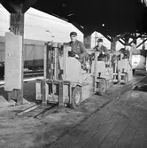 Casting-gänget. Världsmästare i sportfiskegrenen casting