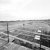 Tak. Byggnadskonstruktion