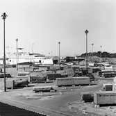 M/S Svea. Containerhantering Skandiahamnen Göteborg