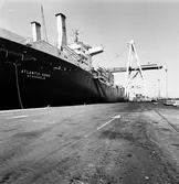 M/S Atlantic Song i Skandiahamnen. Byggdes 1967 av Ateliers et Chantiers, Dunkerque, Frankrike och levererades till Rederi AB Soya, Stockholm. Ingick i Atlantic Container Line för trafik över Atlanten