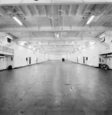 M/S Ofelia.
Öresund.