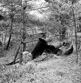 Banvaktvaktstuga 105