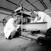 Bantekniska laboratoriet.