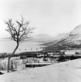 Fjället, stugbyn, slalombacken Björkliden. Hotell Fjället och stugbyn i Björkliden.