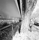 Transport av balkar Kristianstad - Åhus.