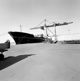 Frihamnen och Skandiahamnen Göteborg. Containerfartyget 