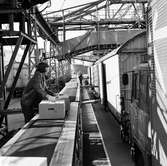 Frihamnen och Skandiahamnen Göteborg.