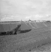 Lastning av malm vid malmlagret på Svartön. SJ Mas.