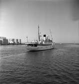 Ångfartyget S/S Örnen i Malmö hamn. Gick mellan Malmö-Köpemhamn mellan 1951-1959.